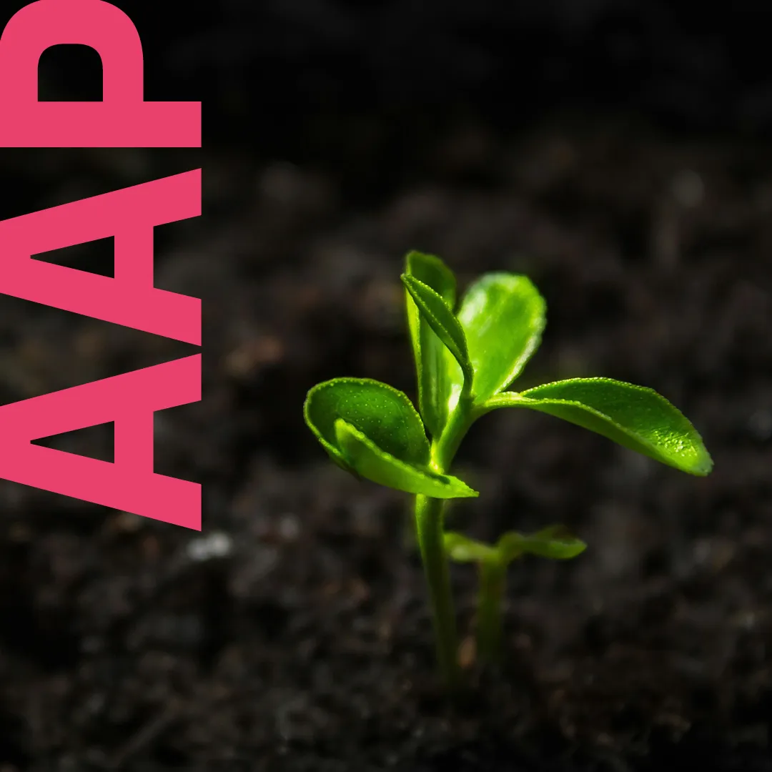 Das Bild des Blogbeitrags