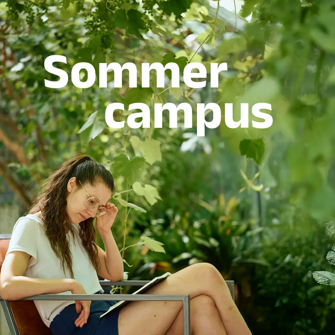 Sommercampus, TSA, Adelshofen